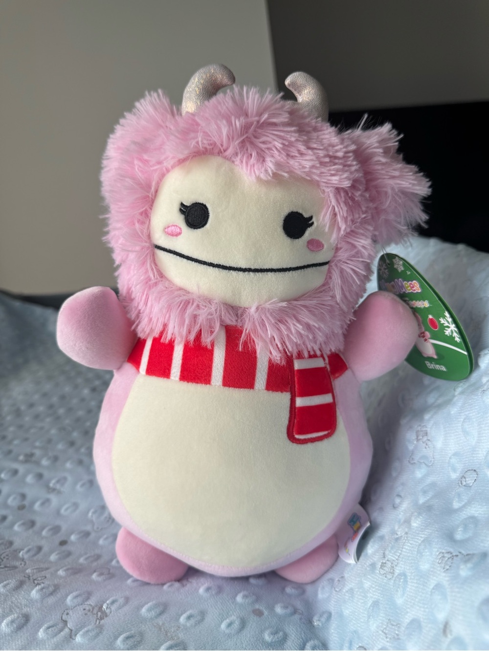 10-inch Brina the Bigfoot HugMee plush toy from the Squishymallows
